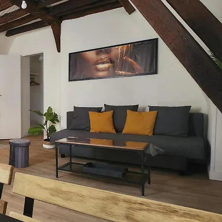 L'etape Tourangelle Lägenhet Tours