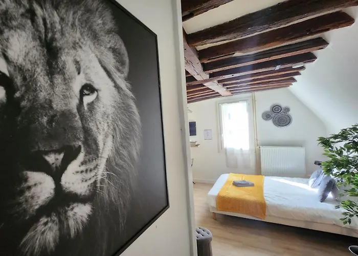 L'etape Tourangelle Appartement