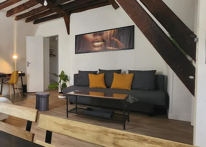 L'etape Tourangelle Apartamento Tours